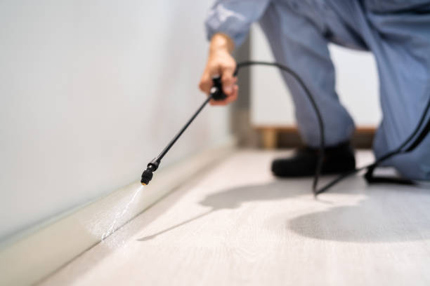 Licensed Rodent Control service in Westerville, OH - Nex Pest Control