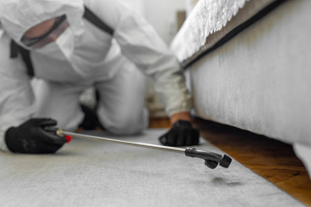 Professional Rodent Control technician working in Westerville, OH