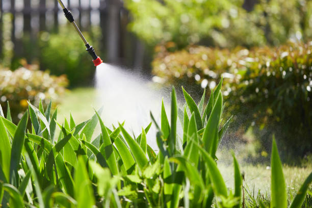 24/7 Emergency Rodent Control experts in Westerville, OH