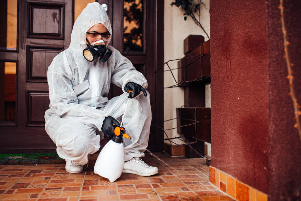 Reliable Rodent Control contractor in Westerville, OH by Nex Pest Control