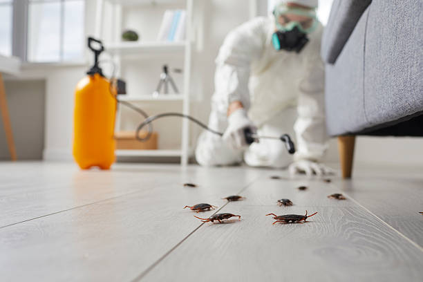 Trusted Cockroach Control service in Westerville, OH - Nex Pest Control